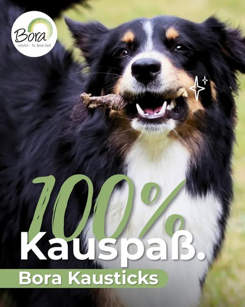 Unsere Kausticks