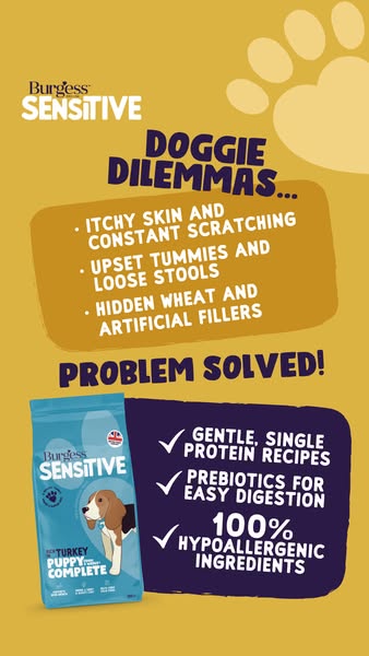 Better Digestion. Better Days.