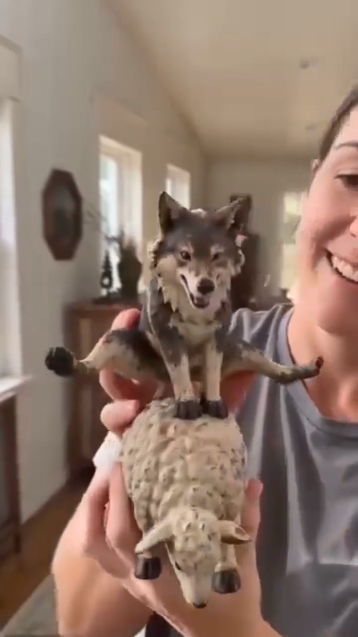 Wolf Riding Sheep Figurine