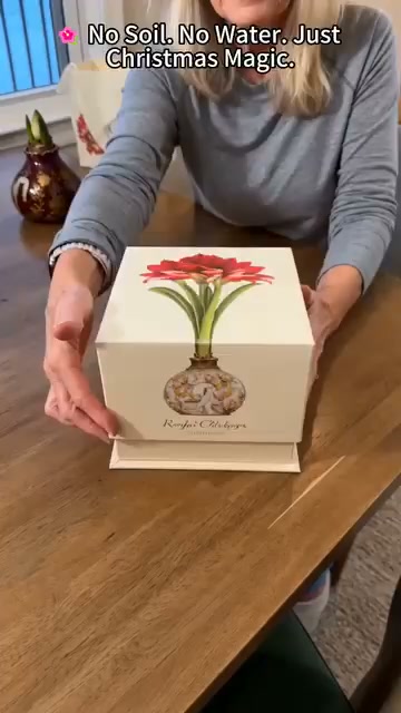 Waxed Double Amaryllis Bulbs – No Soil, No Water, Just Watch It Grow