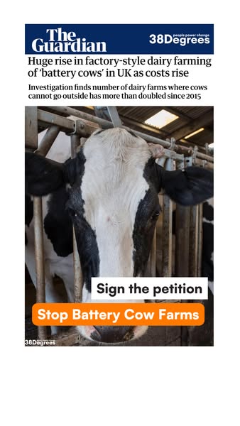 Stop Battery Cow Farming