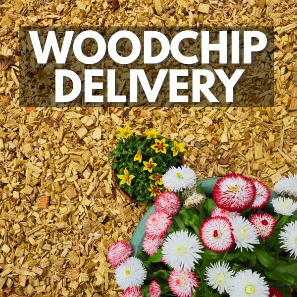 Free Delivery To Angus & Dundee
