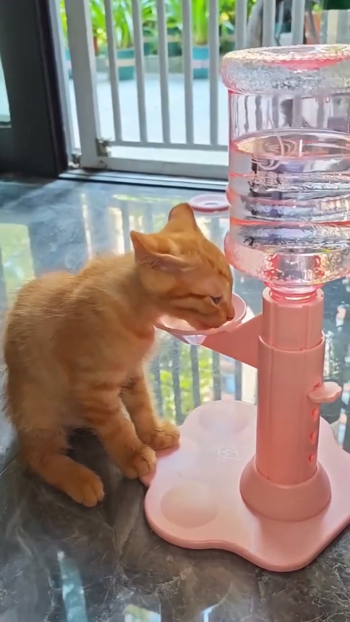Automatic Pet Water Dispenser – Gravity Self Refilling Cat & Dog Water Bowl