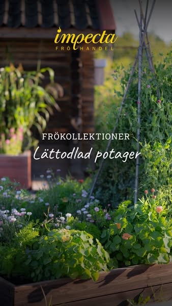 Lättodlad potager