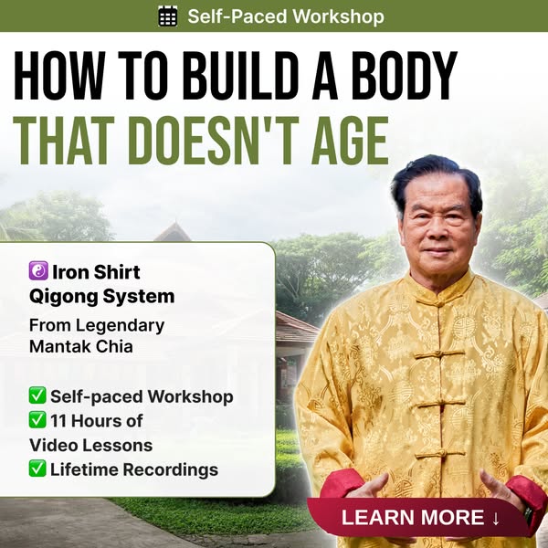 Complete Iron Shirt Qigong course