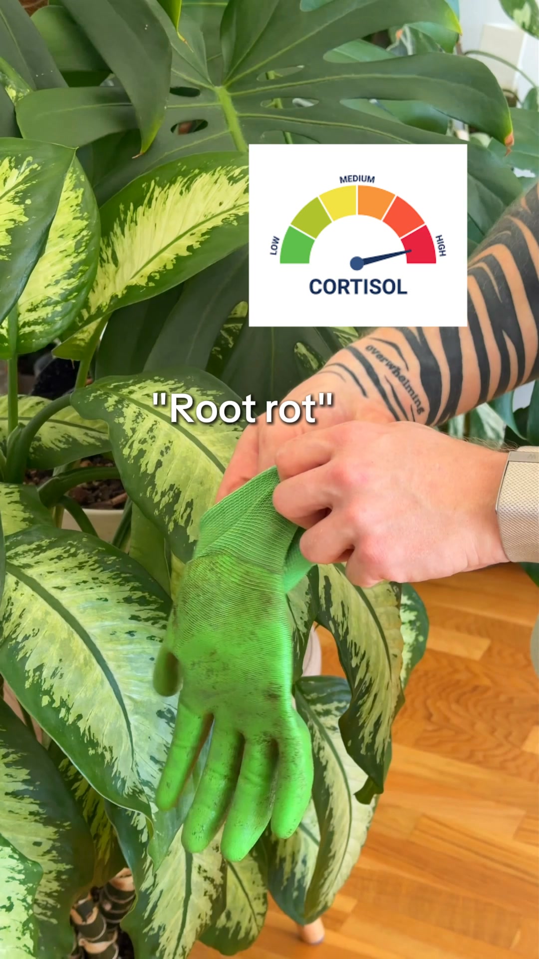 Rated 4.8/5 on Trustpilot ( 5000+)