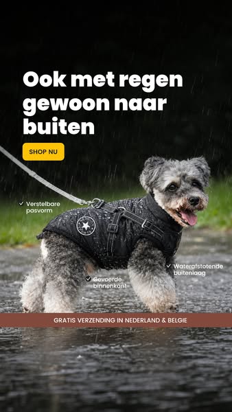 Gratis verzending in NL & BE + 14 dagen bedenktijd