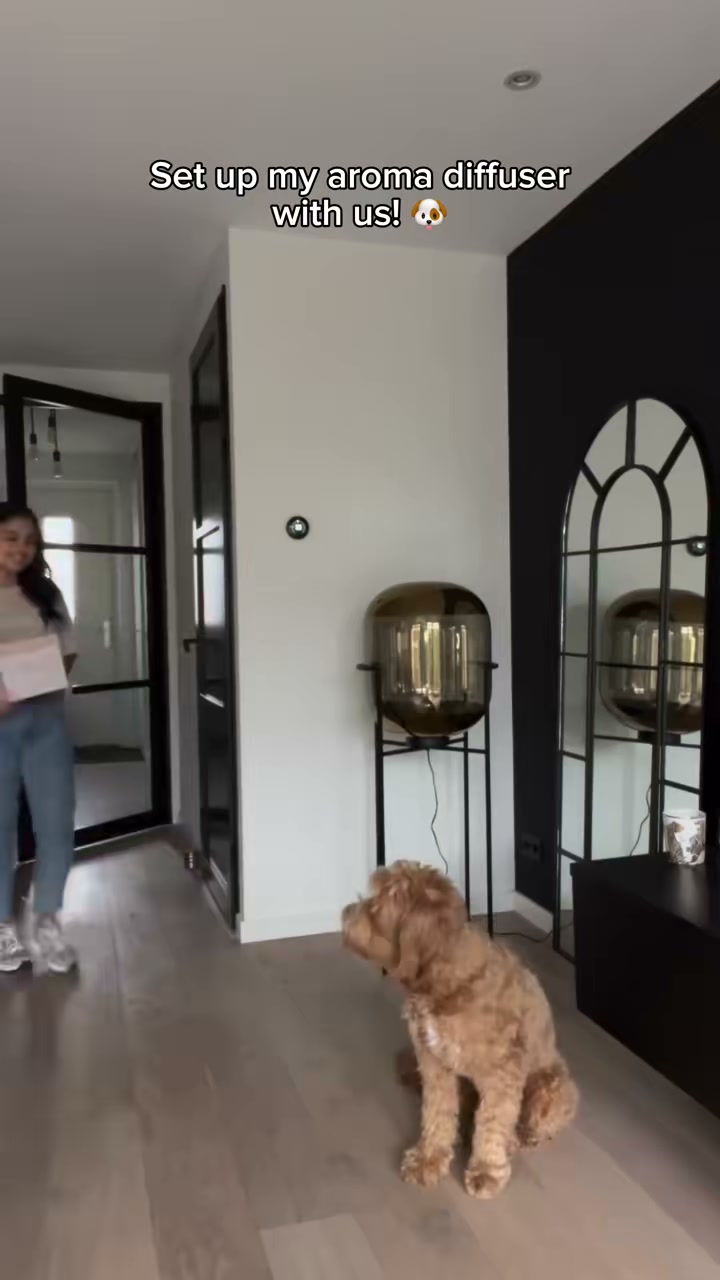 Wie ruikt daar als eerste?