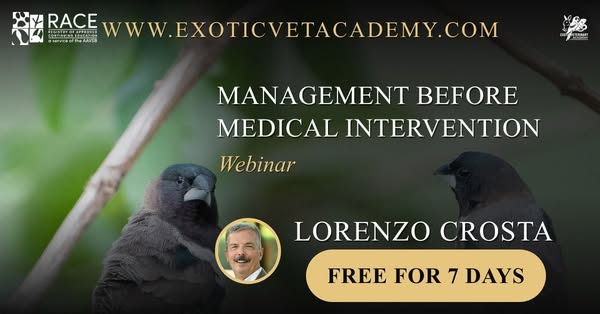 Nursery management and chick evaluation