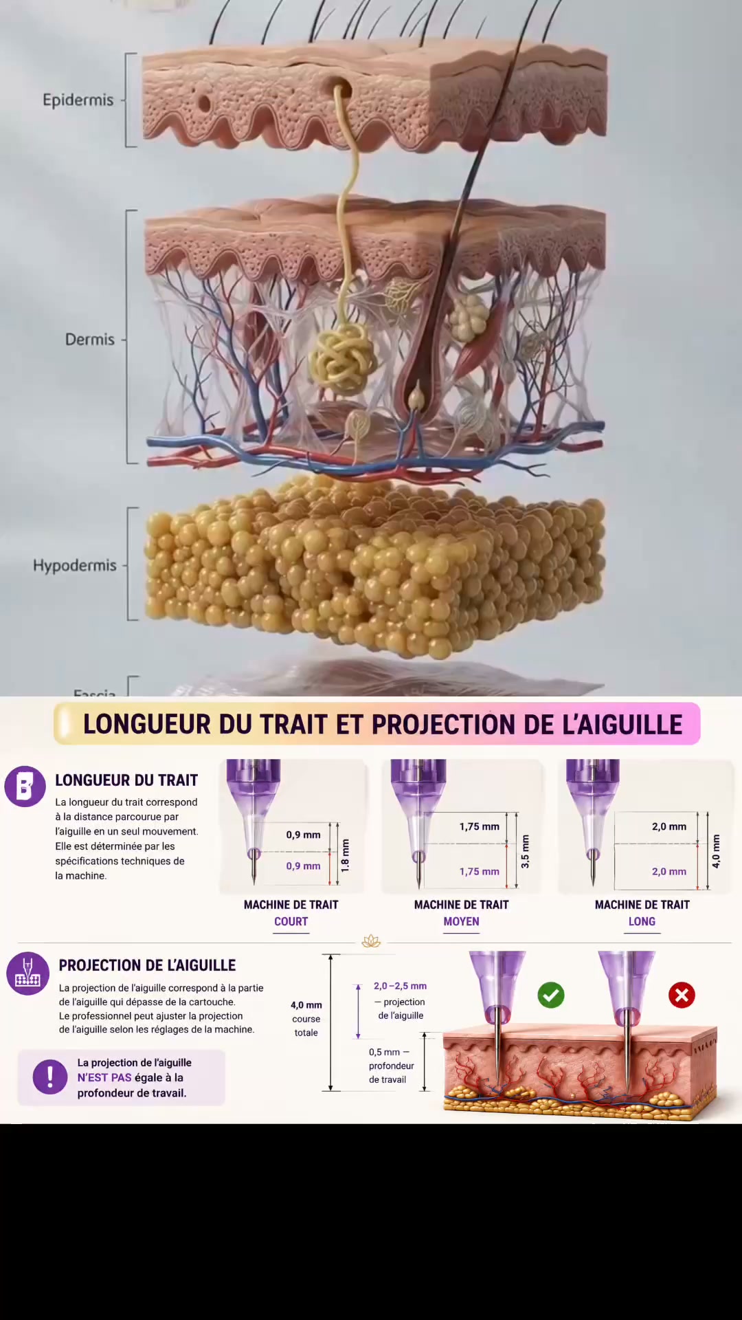 MAÎTRISEZ LE MAQUILLAGE PERMANENT DES SOURCILS !