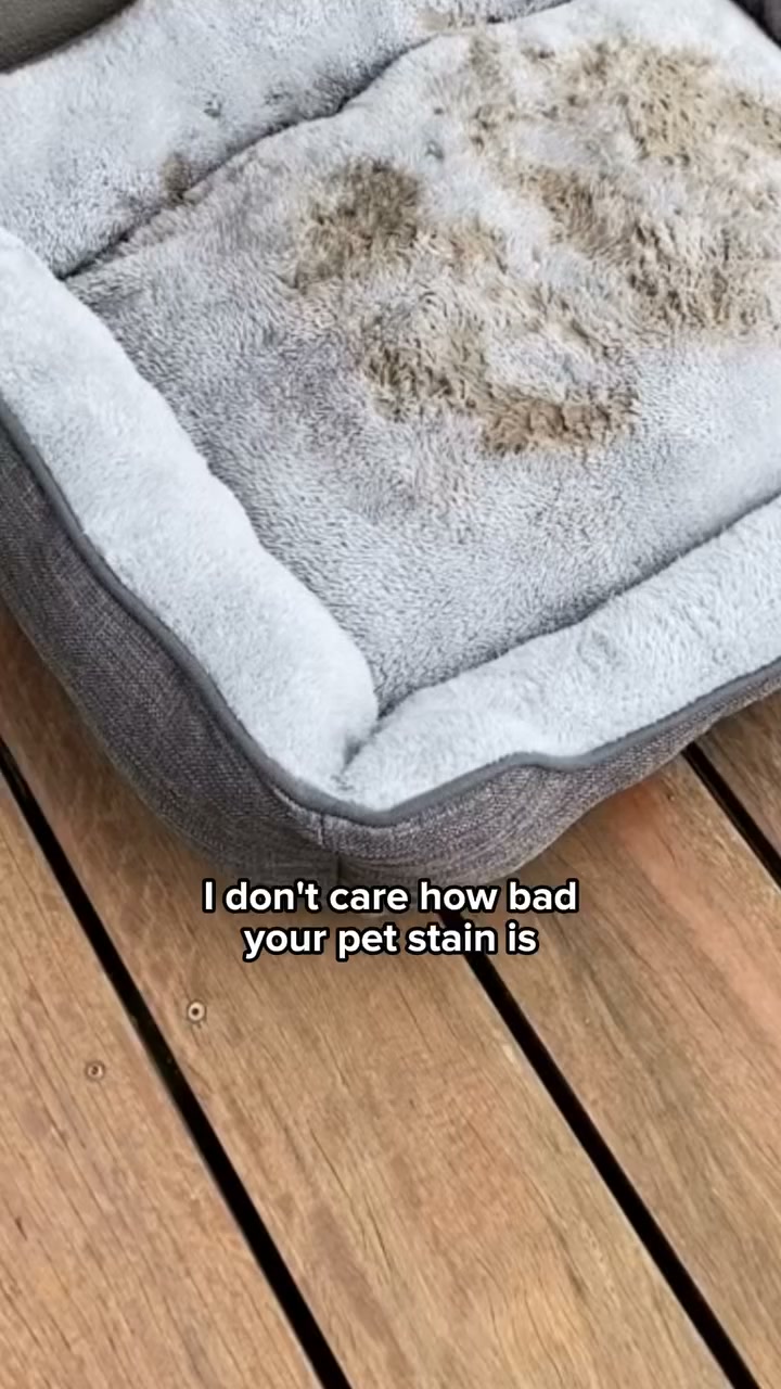 Nope... It's a New Carpet.
