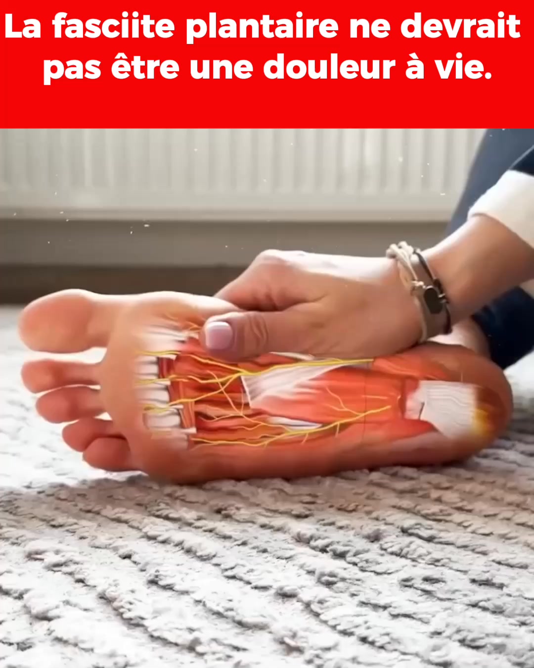 Livraison gratuite