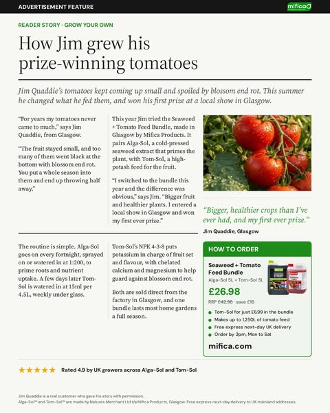 How Jim grew his prize-winning tomatoes