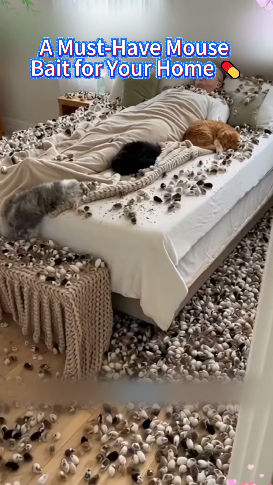 Keep Unwanted Rodents Away