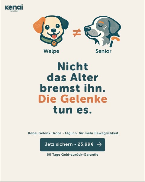 Was steife Gelenke täglich brauchen