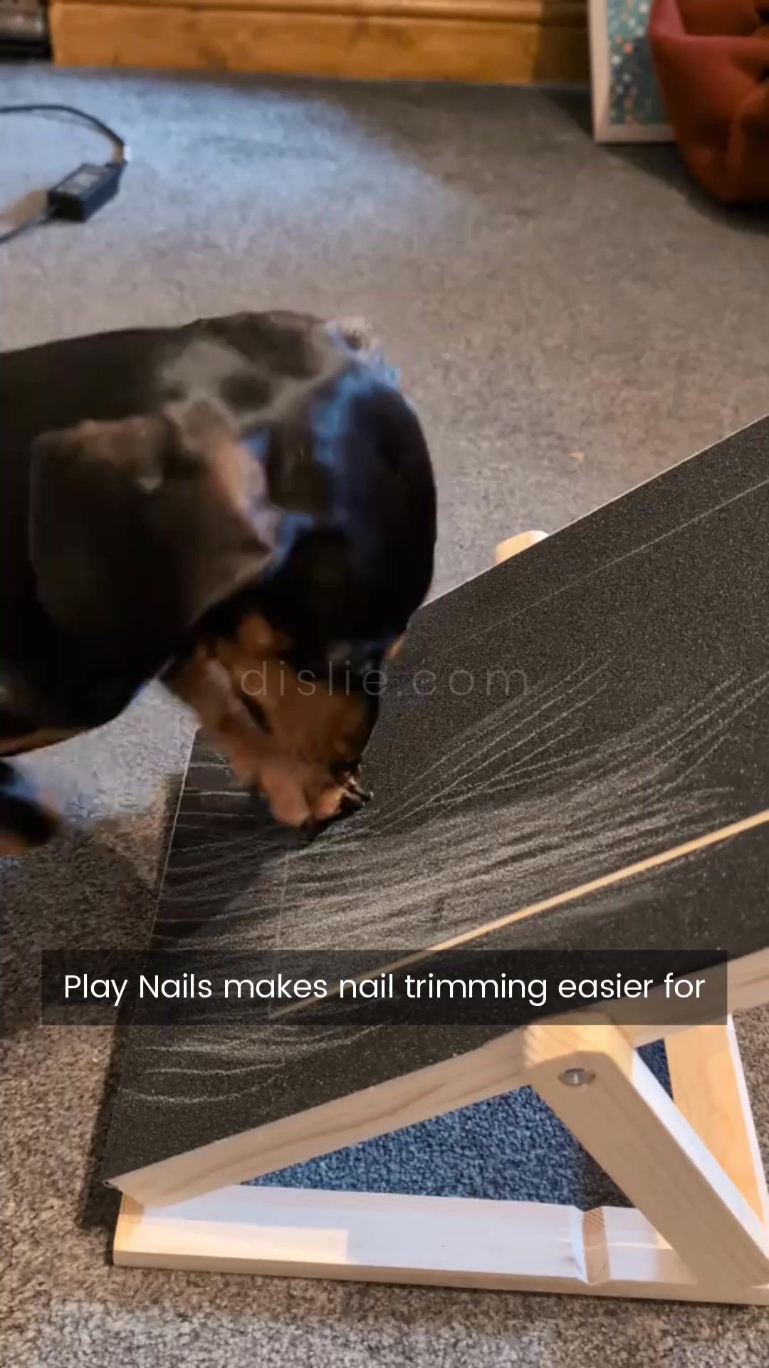 No more stressful nail trims, guaranteed.