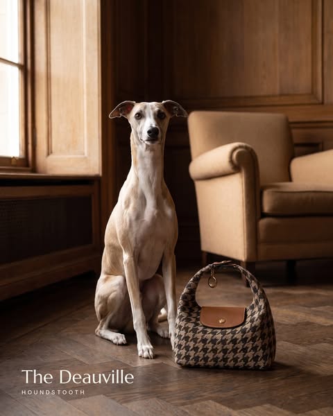 Woven to Perfection