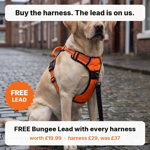 Free Bungee Lead with every harness