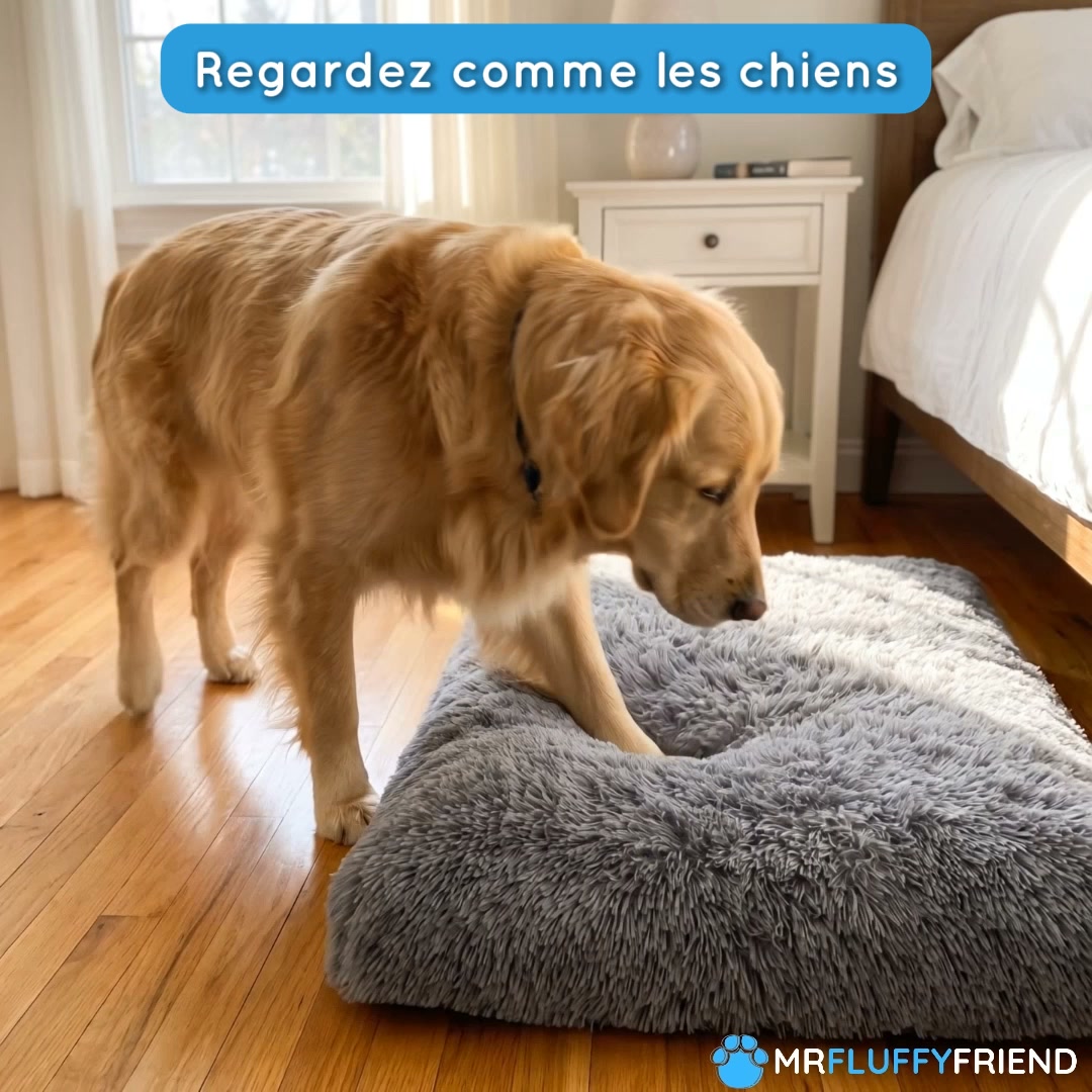 60 % de réduction + Livraison offerte !