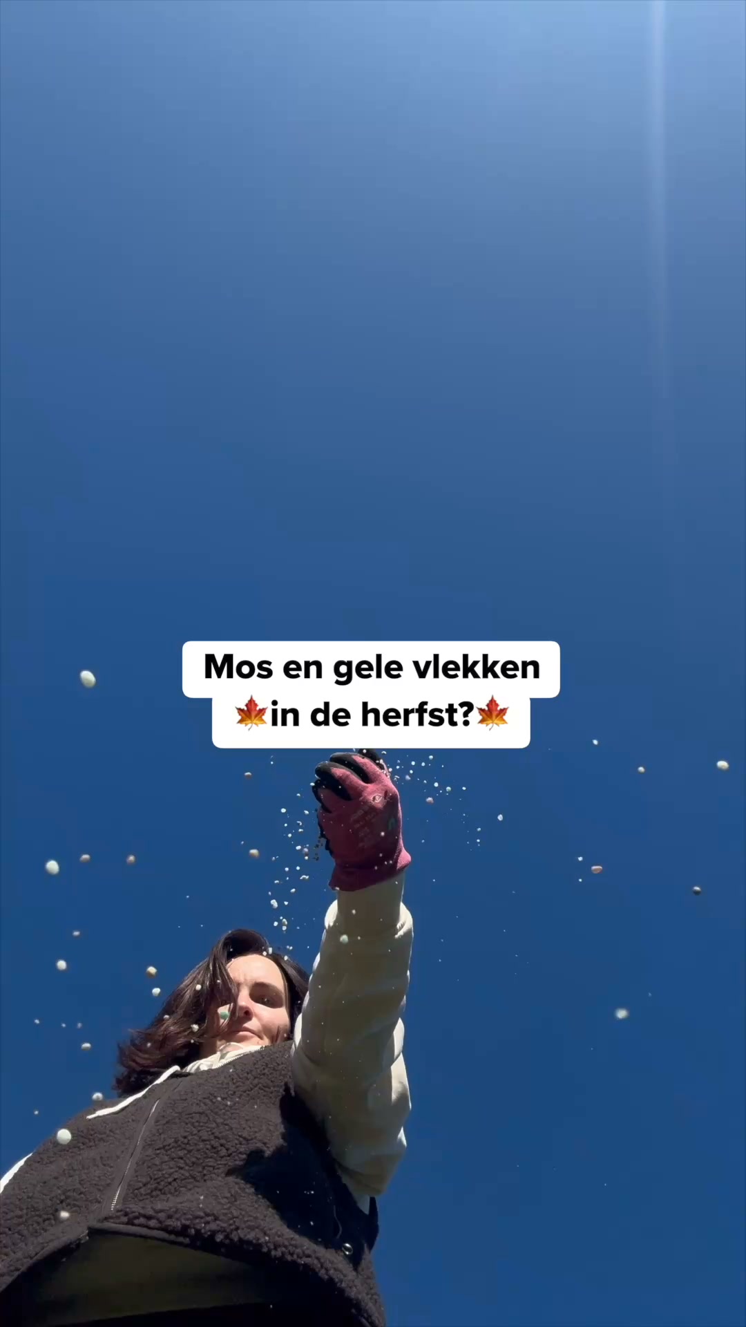 Je gazon redden na de zomer