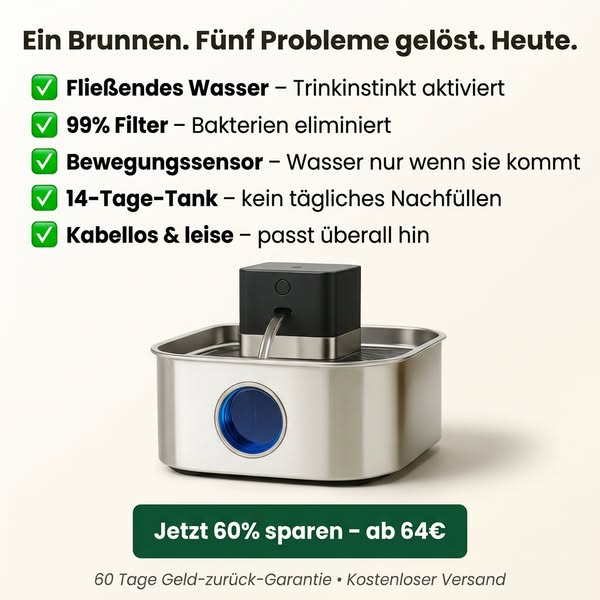 Warum Katzen jetzt mehr trinken