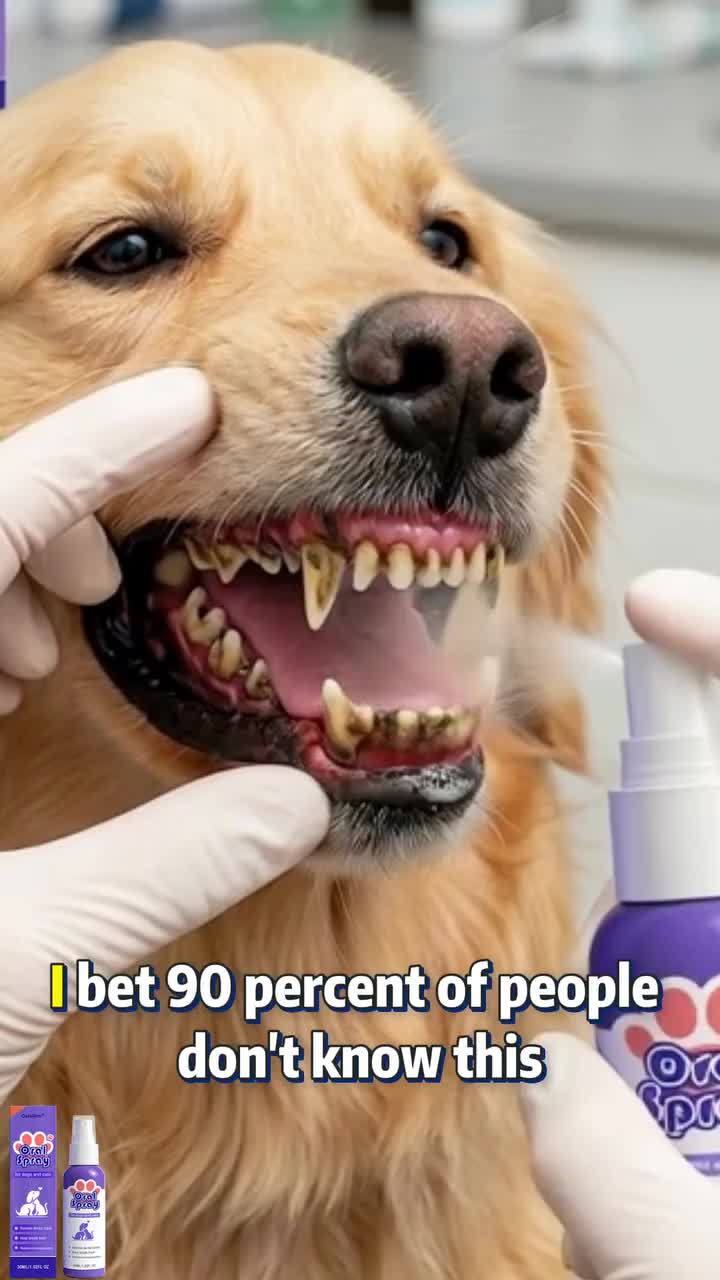 Pet Dental Tartar Care Spray
