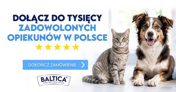 Dokończ swoje zamówienie