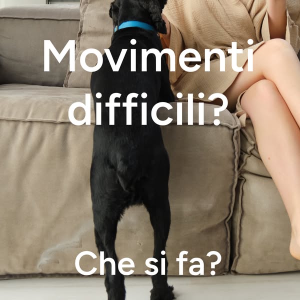 Movimenti difficili? Che si fa?