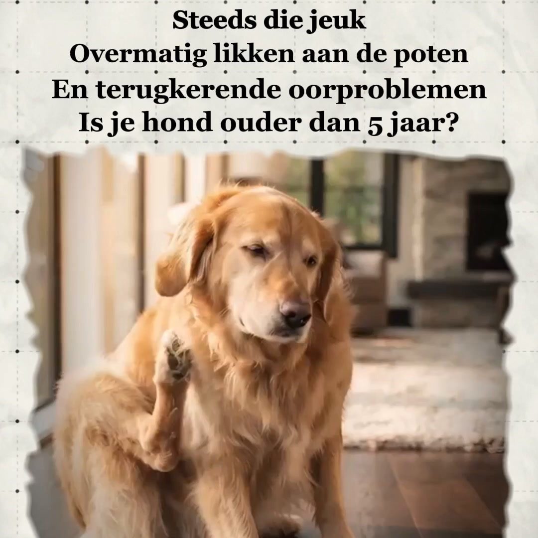 Is jouw hond 5 jaar of ouder? Lees dit