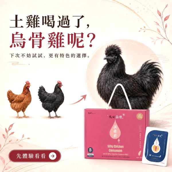 土雞喝過了，烏骨雞呢？