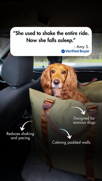 Conquer Travel Anxiety