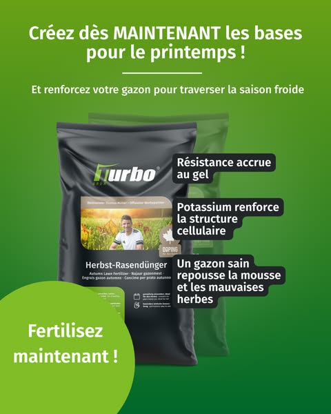 Sauver son gazon après l'été