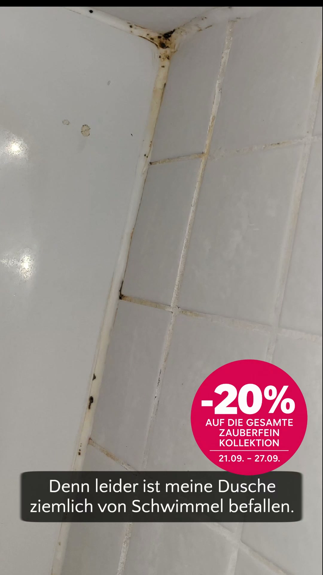 Schimmel? Keine Chance! -20 %
