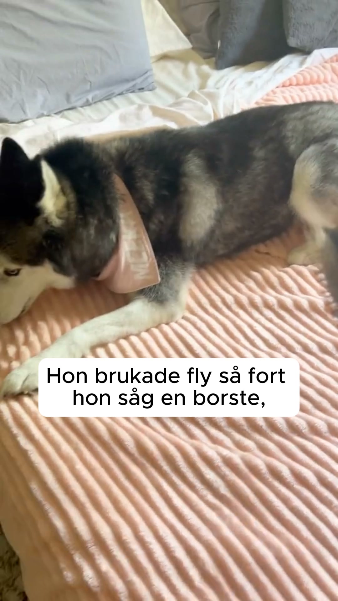 50% REA + FRI FRAKT