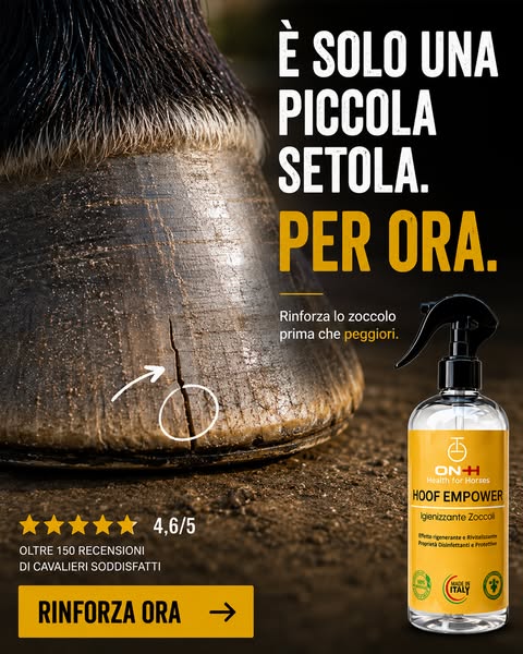 Rinforzalo prima che peggiori
