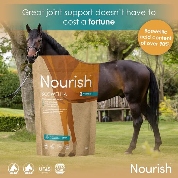Nourish Boswellia for Horses