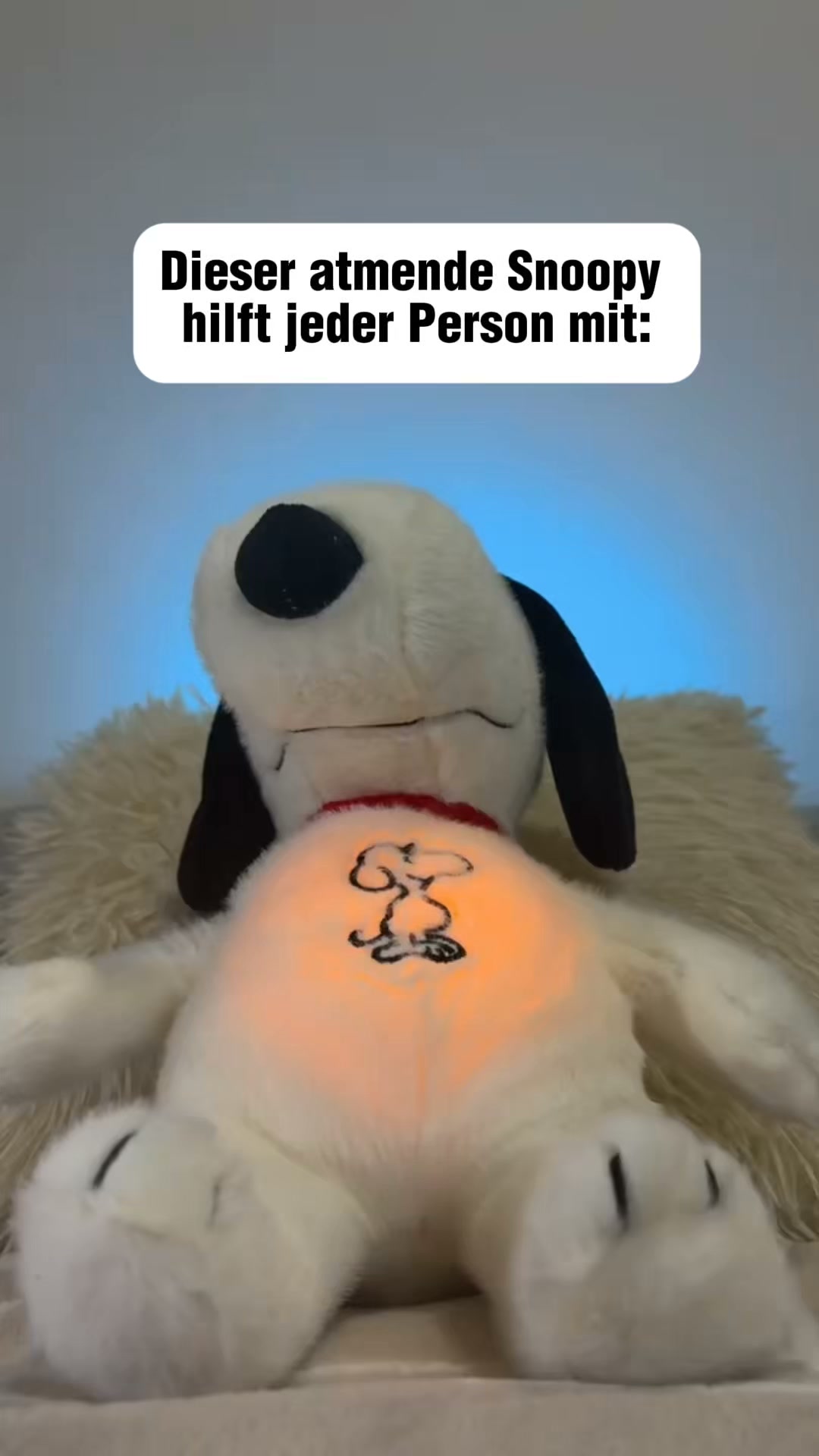 #1 Kuschelfreund