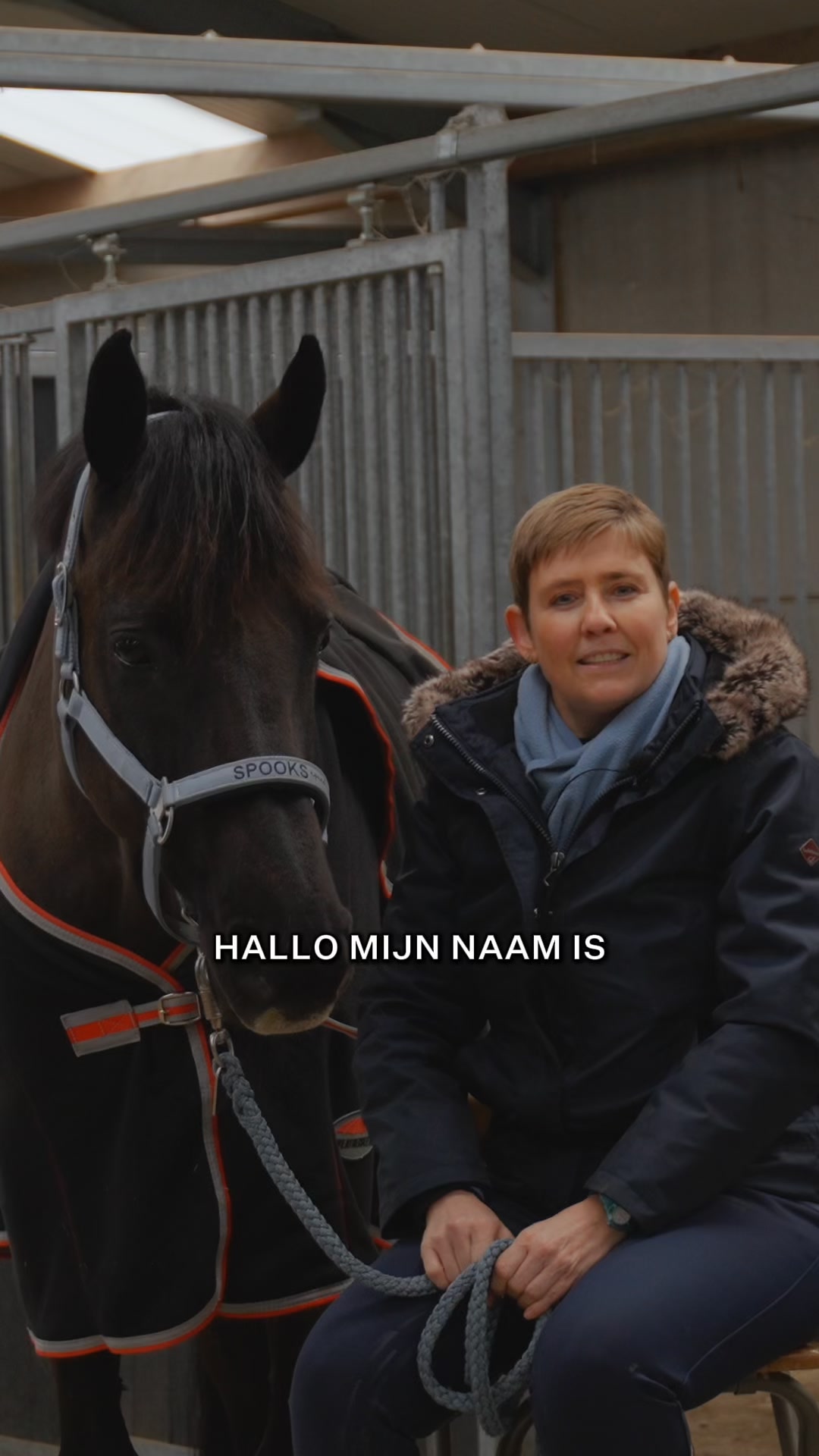 Alle essentiële voedingsstoffen om het ruwvoer dieet van je paard aan te vullen