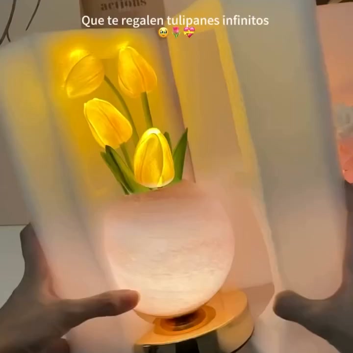 Not Just a Lamp — 50% OFF