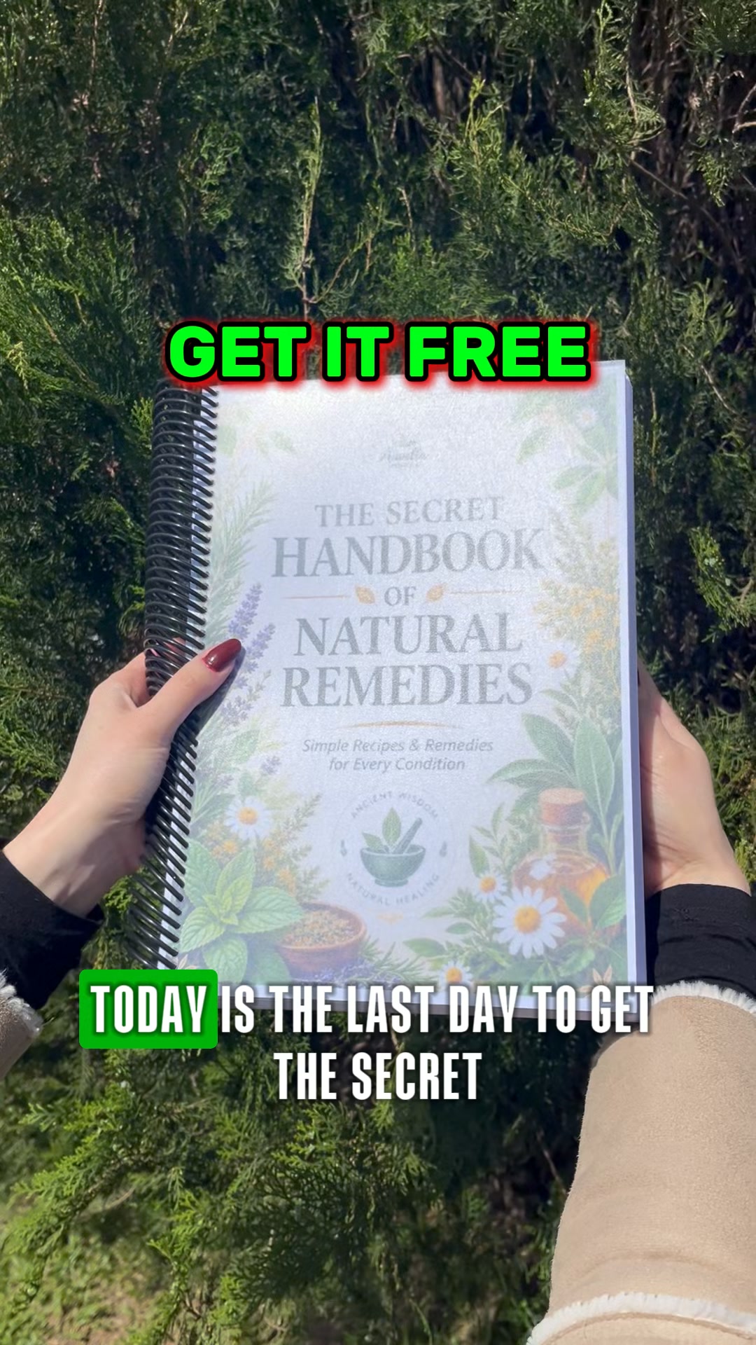 Get Your Handbook FREE Today