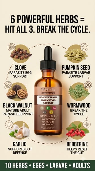 10-Herb Liquid Parasite Cleanse Formula