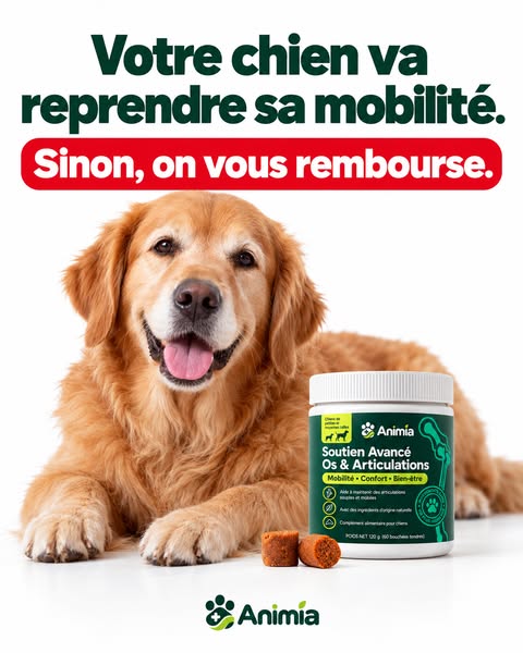 Dernière chance : offre jusqu’à ce soir