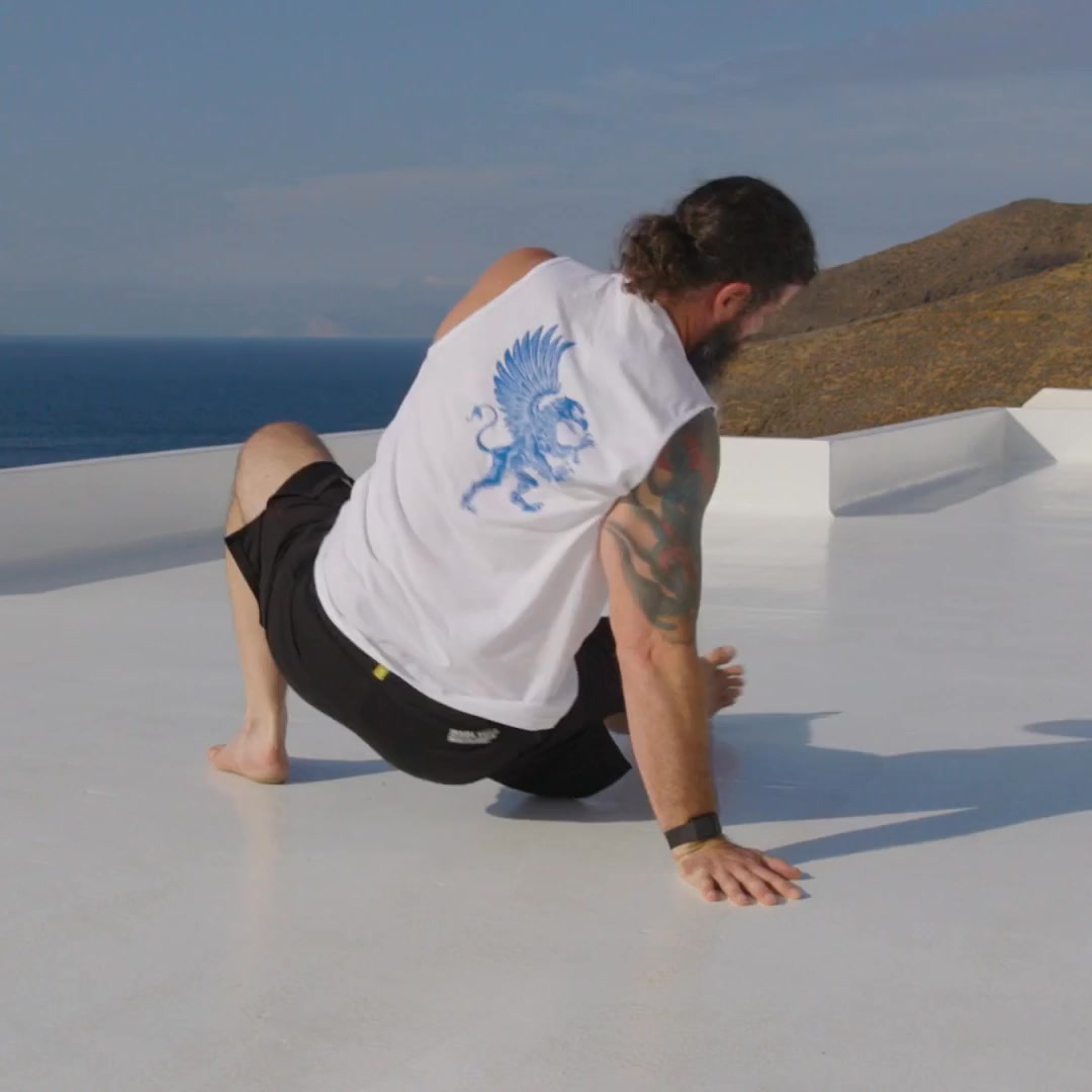 Animal Flow Workshops Near You