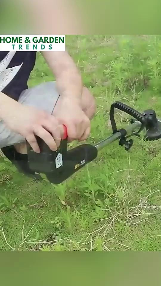 Cordless Power for a Cleaner, Better-Looking Lawn