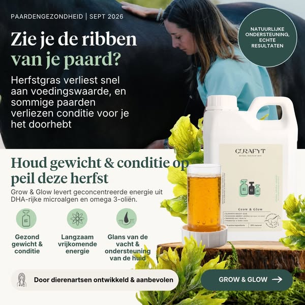Een mager paard? Probeer dit eens...