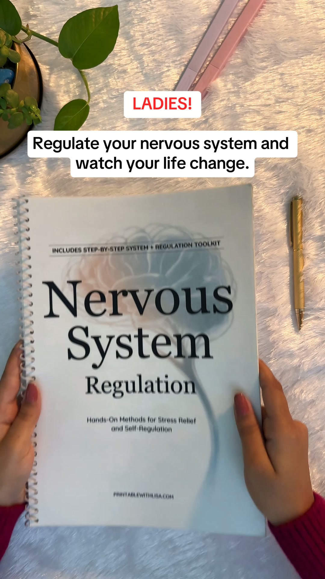 Regulate your nervous system and watch your life change get there at 90% off today.