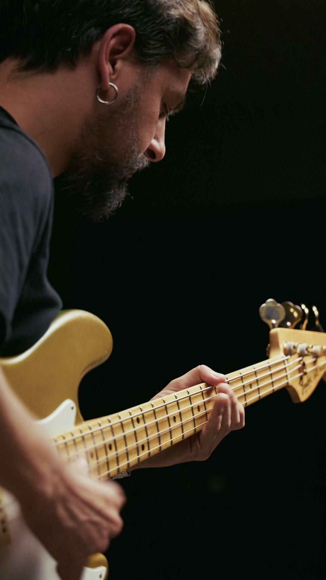 BT Bass Collection