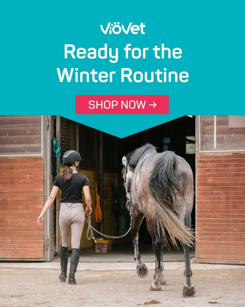 Ready for Winter?