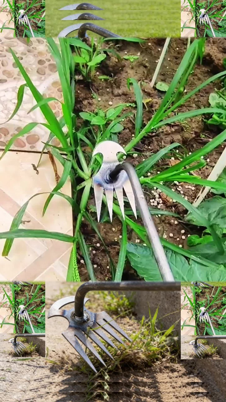 Garden Weed Pulling Tool