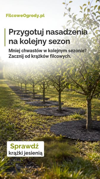 Sprawdź teraz